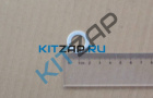 ������ �����������  