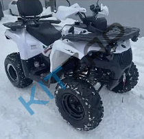 ���������� 300 ����� �����_����_0